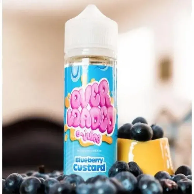 Loaded - Blueberry Custard 120 ml Premium Likit